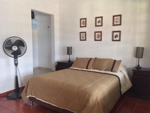 een slaapkamer met een bed en een ventilator en foto's aan de muur bij Casa Campestre Villa Esperanza in Silvania
