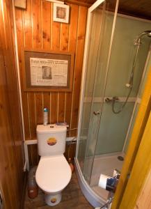 a bathroom with a toilet and a shower at Bungalov u Draka Vřesina in Vřesina