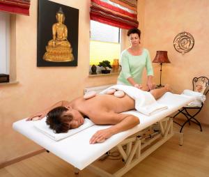 Spa și/sau alte facilități de wellness de la Hotel Bad Griepshop