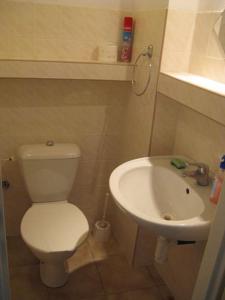 a bathroom with a white toilet and a sink at Apartmany u Lipno in Frymburk +53 photos