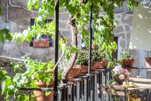 A garden outside Renaissance Boutique House