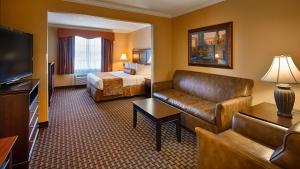 TV a/nebo společenská místnost v ubytování Best Western Plus Southpark Inn & Suites