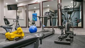 Fitness centrum a/nebo fitness zařízení v ubytování Best Western Plus Houston Atascocita Inn & Suites