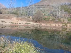 una masa de agua con una montaña en el fondo en Jardin de Estrellas en Alcoguaz