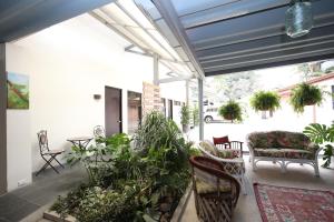 wewnętrzne patio z roślinami, kanapą i krzesłami w obiekcie Casa María Aeropuerto B&B w mieście Alajuela
