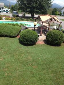 a garden with a table and a umbrella and bushes at Ridge Top Motel - Bryson City in Bryson City