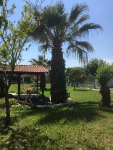 Fotografie z fotogalerie ubytování Vacation Home Eva v destinaci Nea Kallikratia