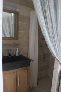 a bathroom with a sink and a shower with a mirror at Chambres Aux Bonnes Herbes in Bais +1 photo