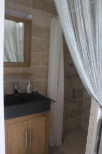 a bathroom with a sink and a shower with a mirror at Chambres Aux Bonnes Herbes in Bais