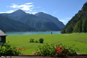 Paesaggio naturale nelle vicinanze dell'appartamento