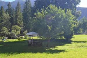 Paesaggio naturale nelle vicinanze dell'appartamento