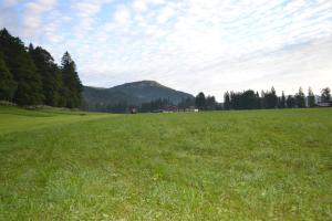 Paesaggio naturale nelle vicinanze dell'appartamento