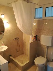 a bathroom with a shower with a toilet and a sink at Villa Nostra - Kruče in Ulcinj +35 photos