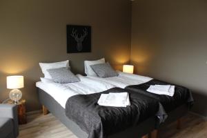 薩斯塔瑪拉的住宿－Ellivuori Resort，一间卧室配有一张大床和两个枕头