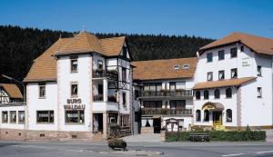 un groupe de bâtiments sur le côté d'une rue dans l'établissement Hotel Burg Waldau, à Grasellenbach