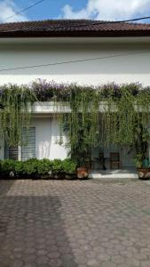 Una casa blanca con plantas y flores. en Room Sweet Room, Seminyak en Seminyak