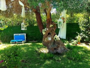 Jardín al aire libre en Villa Buono