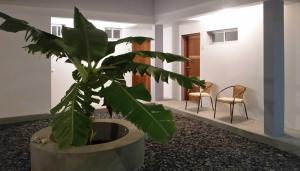 Fotografie z fotogalerie ubytování Casa Patio v destinaci Tarrafal