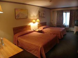 Cette chambre comprend 2 lits et une fenêtre. dans l'établissement Hotel Royalty, à Monterrey
