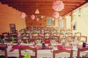 Las Casicas的住宿－Casas y Cuevas El Solins，配有长桌子、椅子和粉红色鲜花的客房