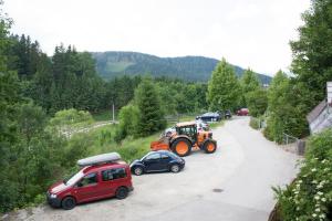 Příroda nedaleko apartmánu