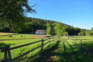 Příroda nedaleko bed and breakfast