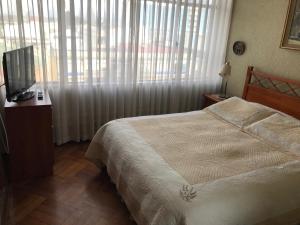 1 dormitorio con 1 cama, TV y cortinas en Departamento VPR 560 Valdivia, en Valdivia