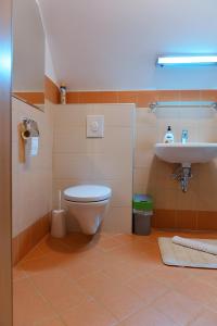 Salle de bains dans l'établissement Apartment Bohinjko