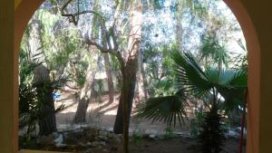 Foto dalla galleria di Casa Vacanze La Pineta a Taviano