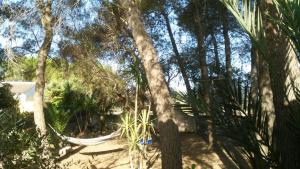 Foto dalla galleria di Casa Vacanze La Pineta a Taviano Altre 26 foto