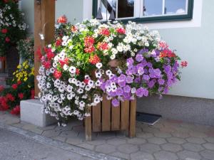 A garden outside Appartements Bacherhof