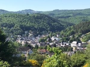 a small town in the mountains with houses at Panoramablick in Adenau