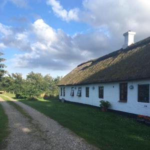 una casa blanca con techo de césped y un camino de tierra en Øster Mogensbæk #4, en Sindal