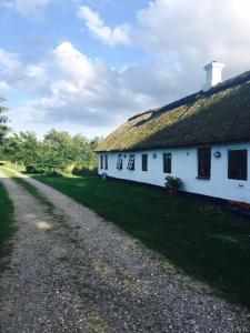 SindalにあるØster Mogensbæk #4の草屋根と砂利道のある白い家