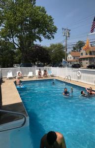 The swimming pool at or close to Pelican Point Motel