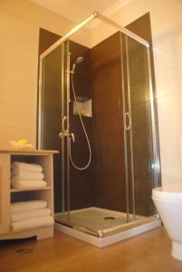 a shower with a glass door in a bathroom at Apollonia Hotel in Masouri