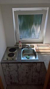 Kuchyň nebo kuchyňský kout v ubytování Apartment Poleti