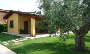 حديقة خارج L'Antico Vigneto