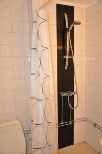 Spånhults Herrgård Hostel في Norrahammar: حمام مع دش مع مرحاض