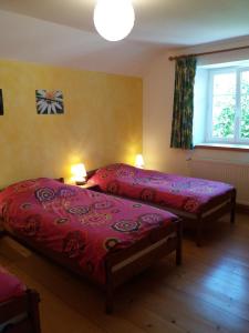 a bedroom with two beds and a window at Gite Mentrel in Champ-le-Duc