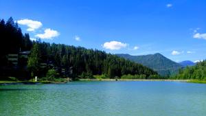 Paesaggio naturale nelle vicinanze del lodge
