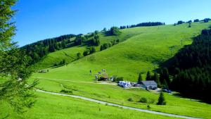 Paesaggio naturale nelle vicinanze del lodge