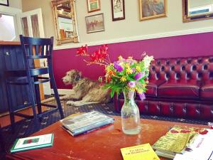 Ruang duduk di Milltown House Dingle