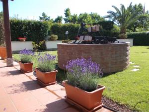 un jardín con tres macetas y una parrilla en Residence Aurora, en Albenga