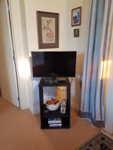 a television on a stand with a bowl of food at The Glen Taupo in Taupo