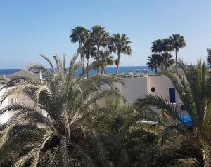 budynek z palmami przed oceanem w obiekcie Moderno apartamento con vistas al mar w mieście Playa del Aguila