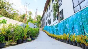Κήπος έξω από το Avatara Resort