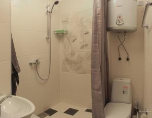 a bathroom with a shower and a toilet and a sink at Agio Hotel in Ufa