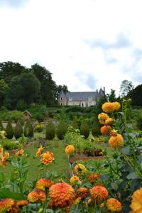a garden with flowers and a house in the background at Château De Pray in Amboise