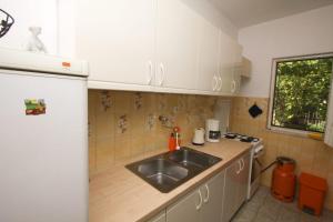 Kuchyň nebo kuchyňský kout v ubytování Apartments Plavica